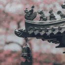 小核桃無心