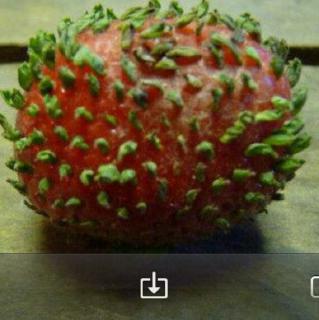 梦想成真