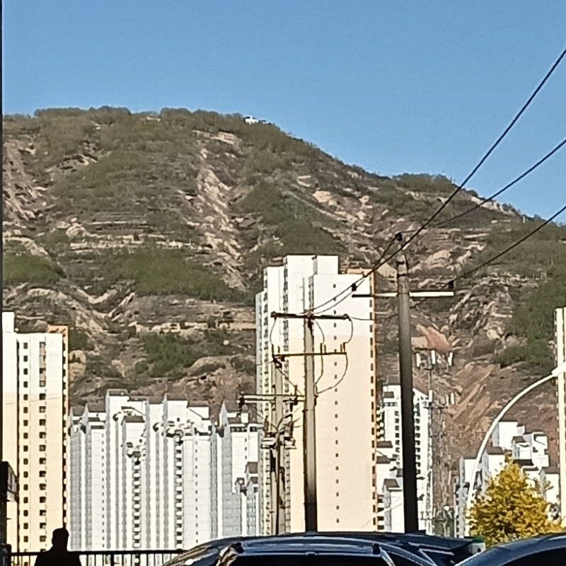 小蛋糕