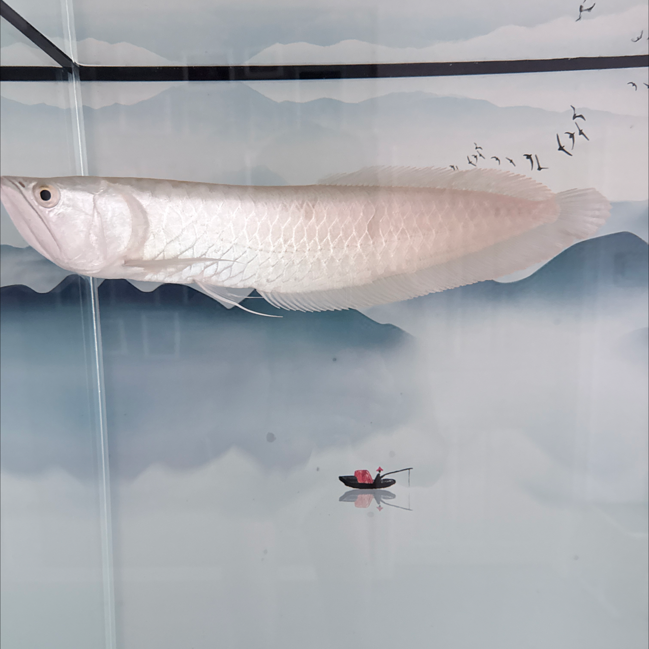 浩文