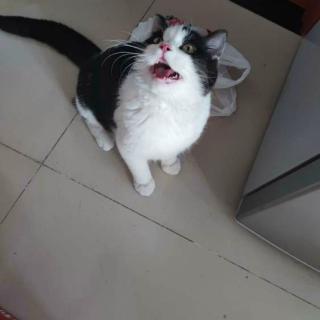 04]l \ A8Z0zG@