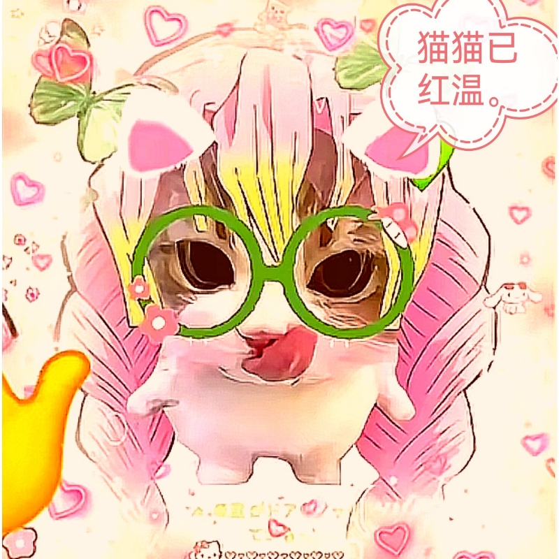 小六六