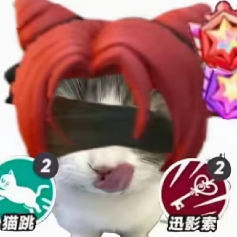 小猫