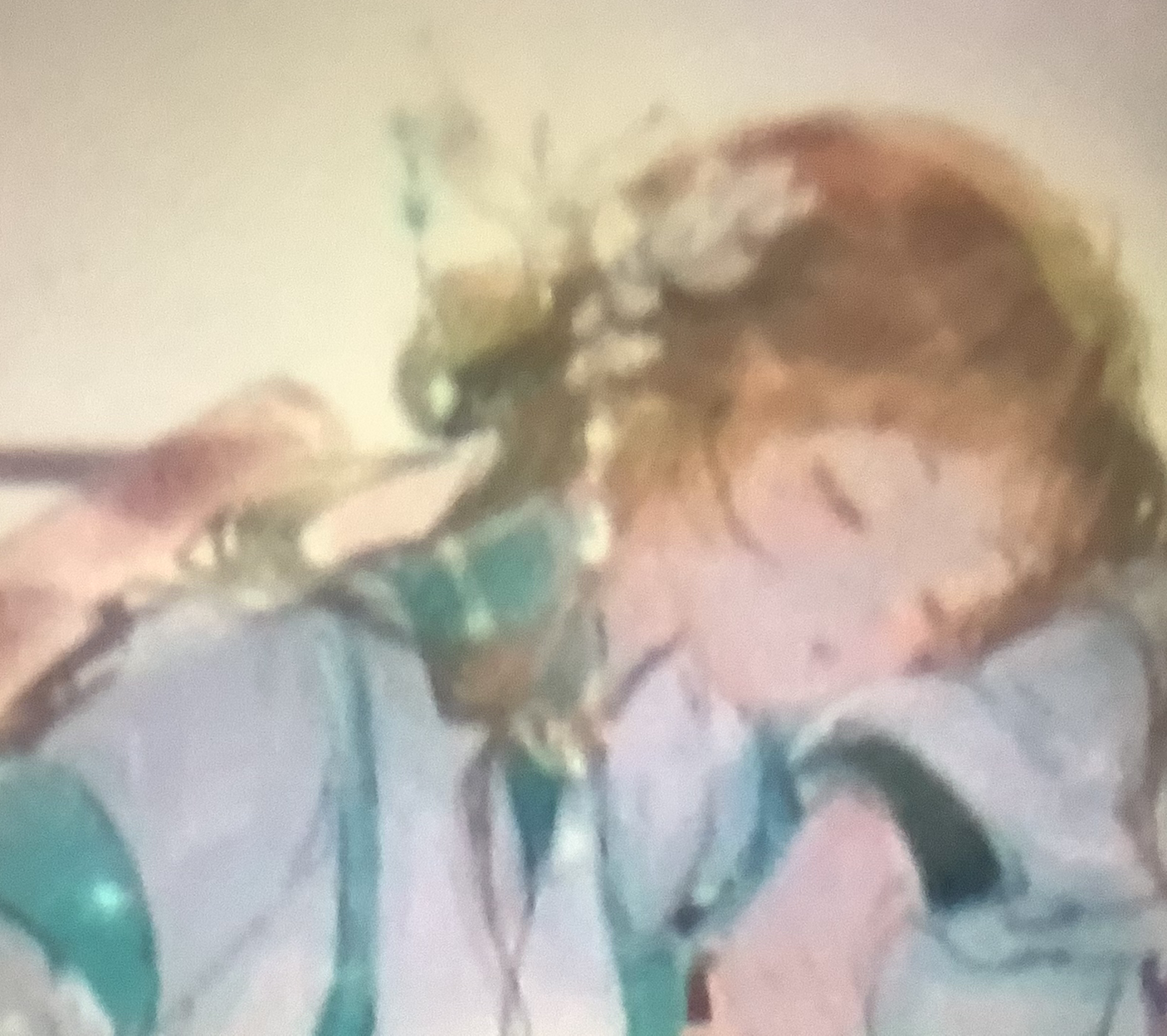 别吵本宝在睡觉💤