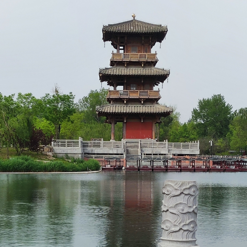 杜娟