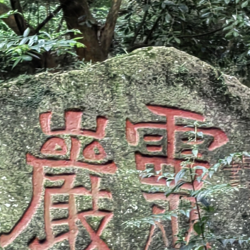 吴振聪