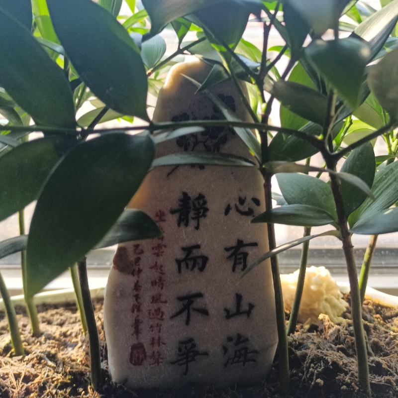 架风溜达的乒乓球