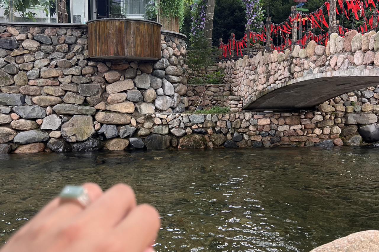 激进的蜗牛