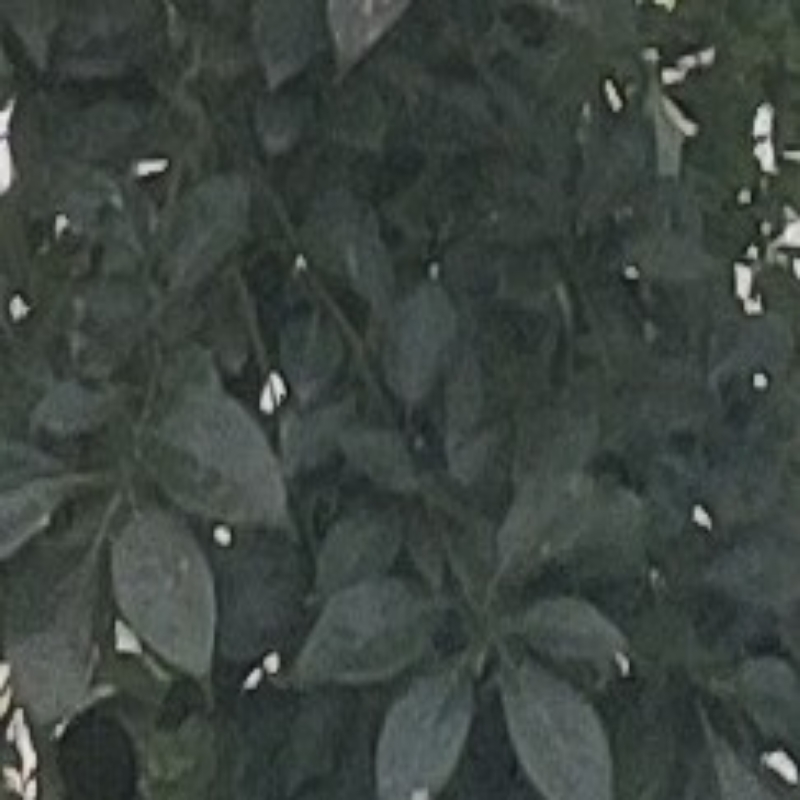 我是非比寻常～