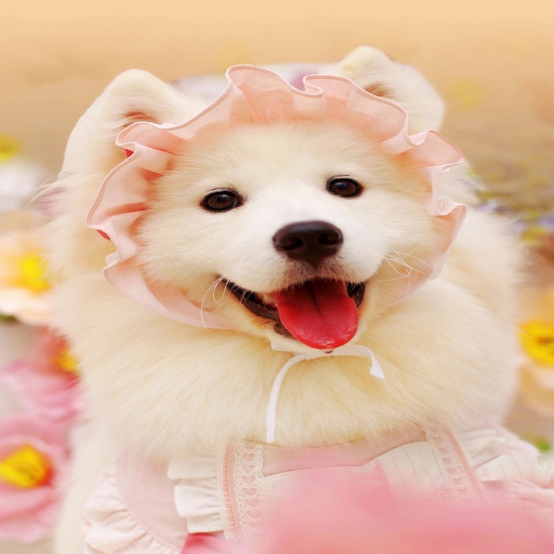 年儿
