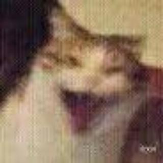 zan-v-