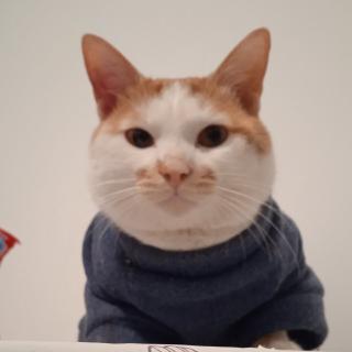 清风
