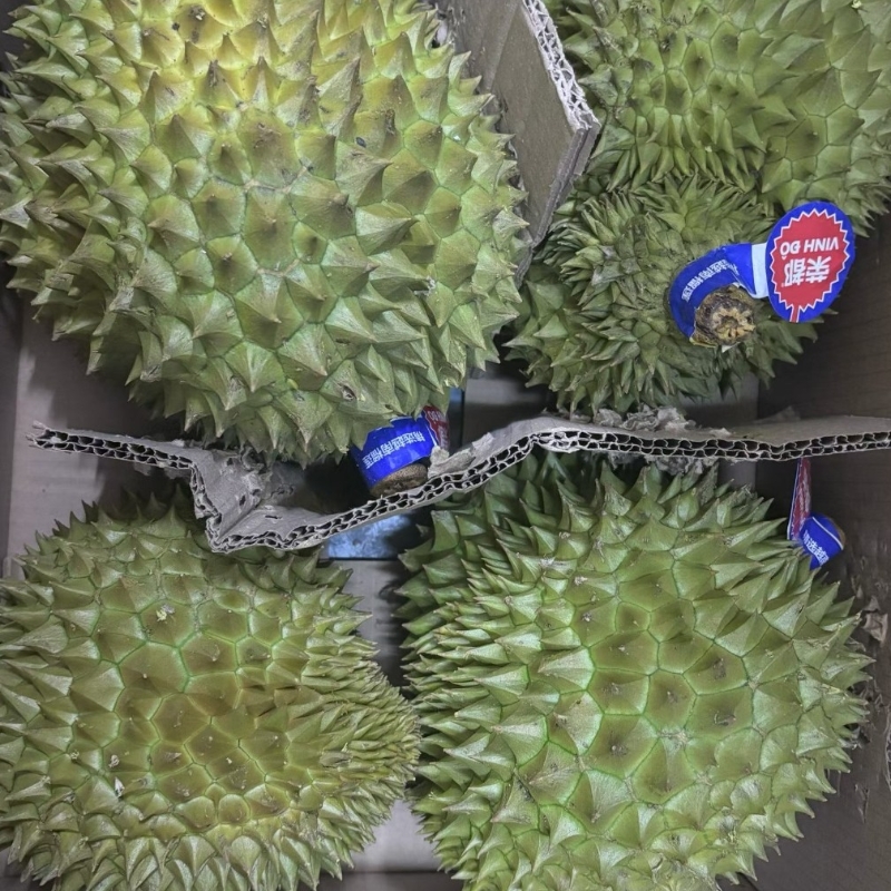 一陆有你