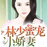 林少蜜宠小娇妻