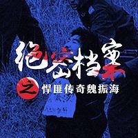 绝密档案之悍匪传奇魏振海