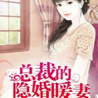 总裁的隐婚暖妻