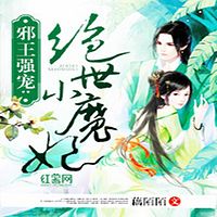 邪王强宠:绝世小魔妃