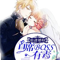 恰逢婚时:首席BOSS有毒