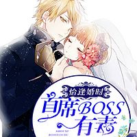 恰逢婚时：首席BOSS有毒