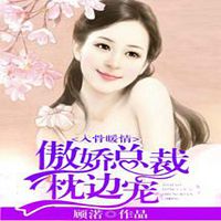 入骨暖情:傲娇总裁枕边宠