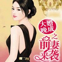 大婚晚成之前妻来袭