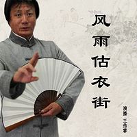 王传林评书：风雨估衣街