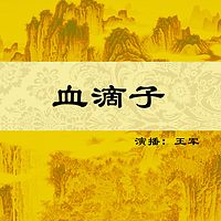 王军：血滴子（80集）