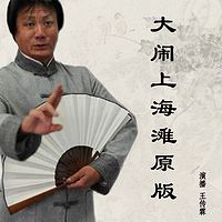 王传林评书：大闹上海滩原版