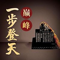 巅峰：一步登天