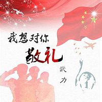 武力:我想对你敬礼