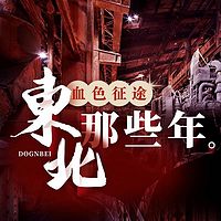 血色征途：东北那些年