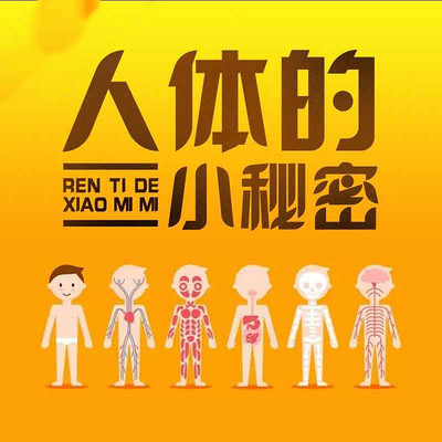 人体的小秘密 人体的小秘密