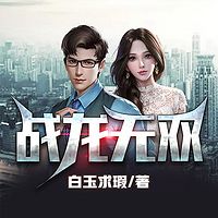 战龙无双有声小说