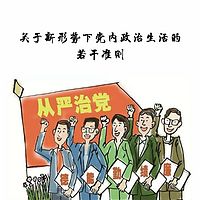 关于新形势下党内政治生活的若干准则