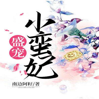 盛宠小蛮妃