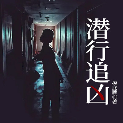 潜行追凶