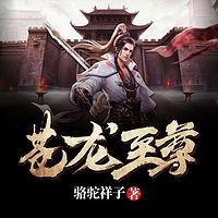 苍龙至尊