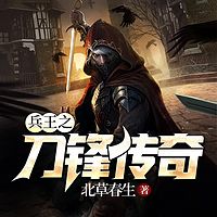 兵王之刀锋传奇