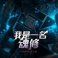 我是一名魂修