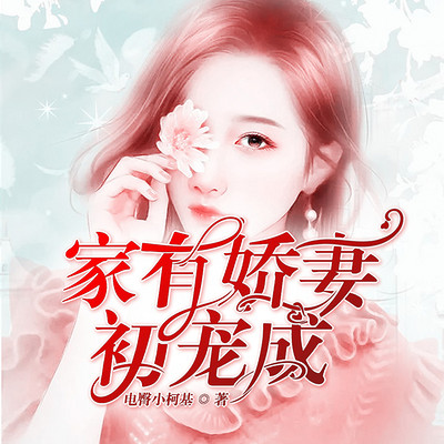 家有娇妻初宠成