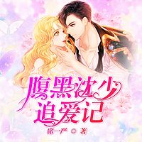 腹黑沈少追爱记