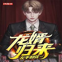 龙婿归来