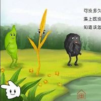 麦秆、煤和豆子