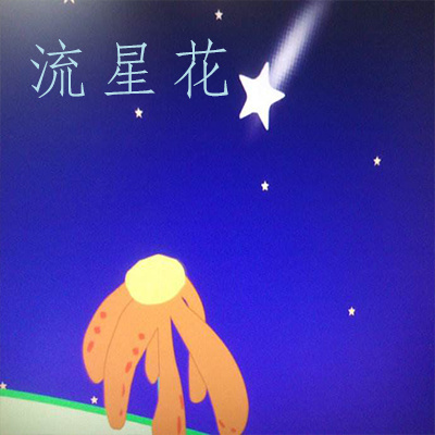 流星花