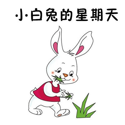 小白兔的星期天