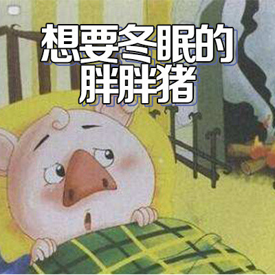 想要冬眠的胖胖猪