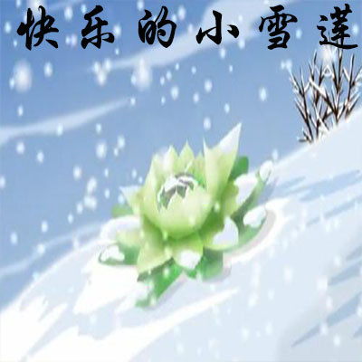 快乐的小雪莲