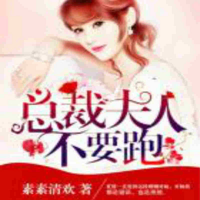 总裁夫人不要跑