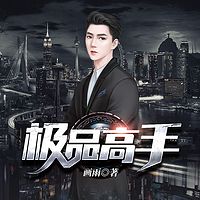 极品高手
