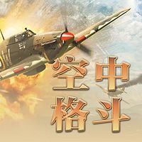 空中格斗【全集】（剪辑版）